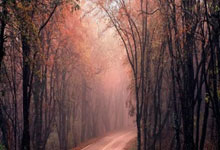 今天英冠比赛有哪些焦点对决？各队表现和赛果如何？