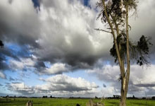 哪里可以免费观看中超360直播？中超观赛全攻略来了