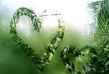 AC米兰足球俱乐部官网能为球迷提供哪些独特体验？