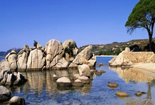 西班牙vs丹麦，足球对决谁能更胜一筹？